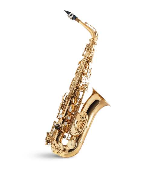 Saxophon lernen in Dresden bei der Musikschule Adagio Dresden